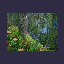 2012-10-20_Fall_AQUILA (353)b.JPG